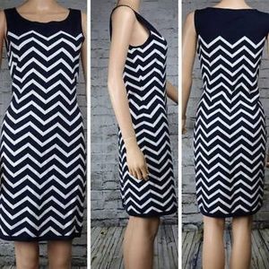 Lauren Ralph Lauren Chevron Sweater Dress